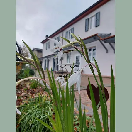 La Casa Del Tiglio 乡村民宿 *